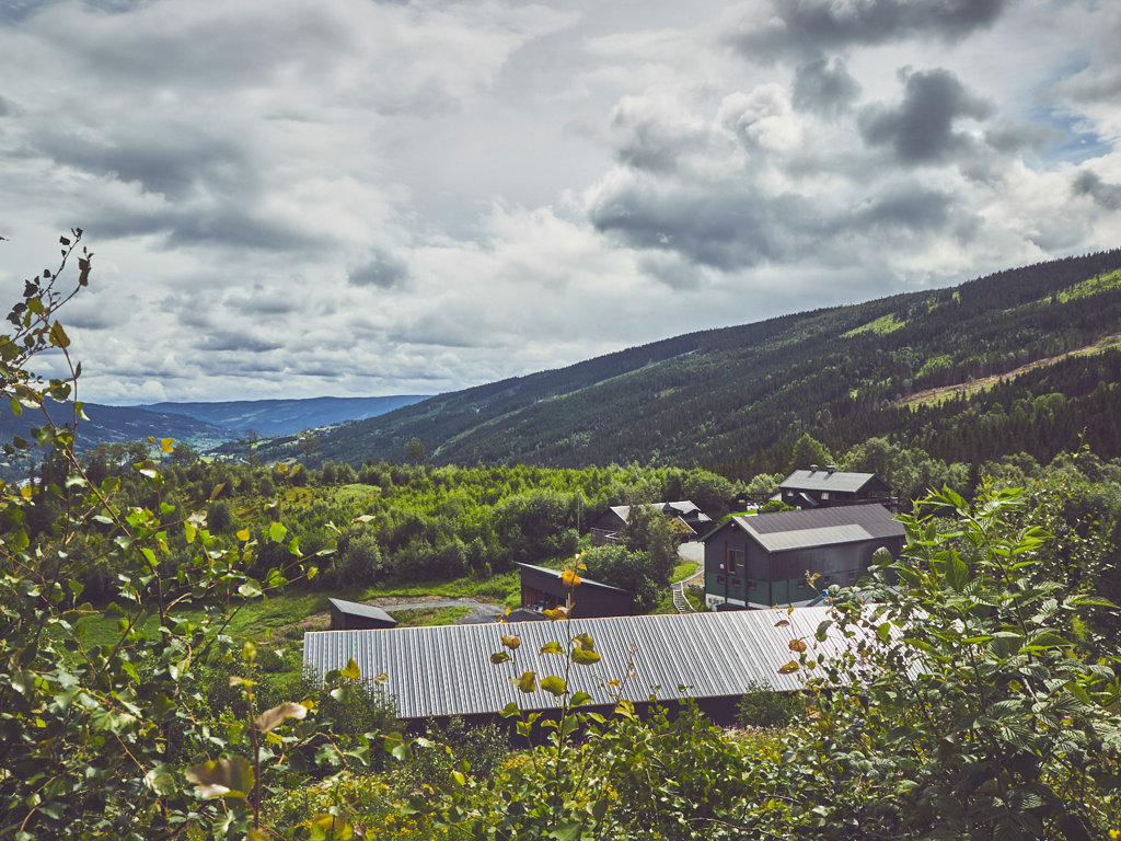Voldenivaldres Dokken Omoss